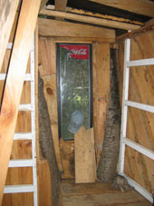 Building Around the Trees