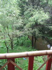 River view from Deck